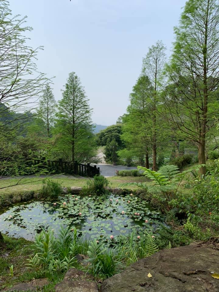 蓮花池