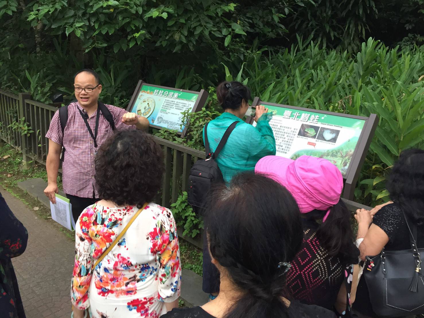 象山公園一隅「樹蛙保留區」