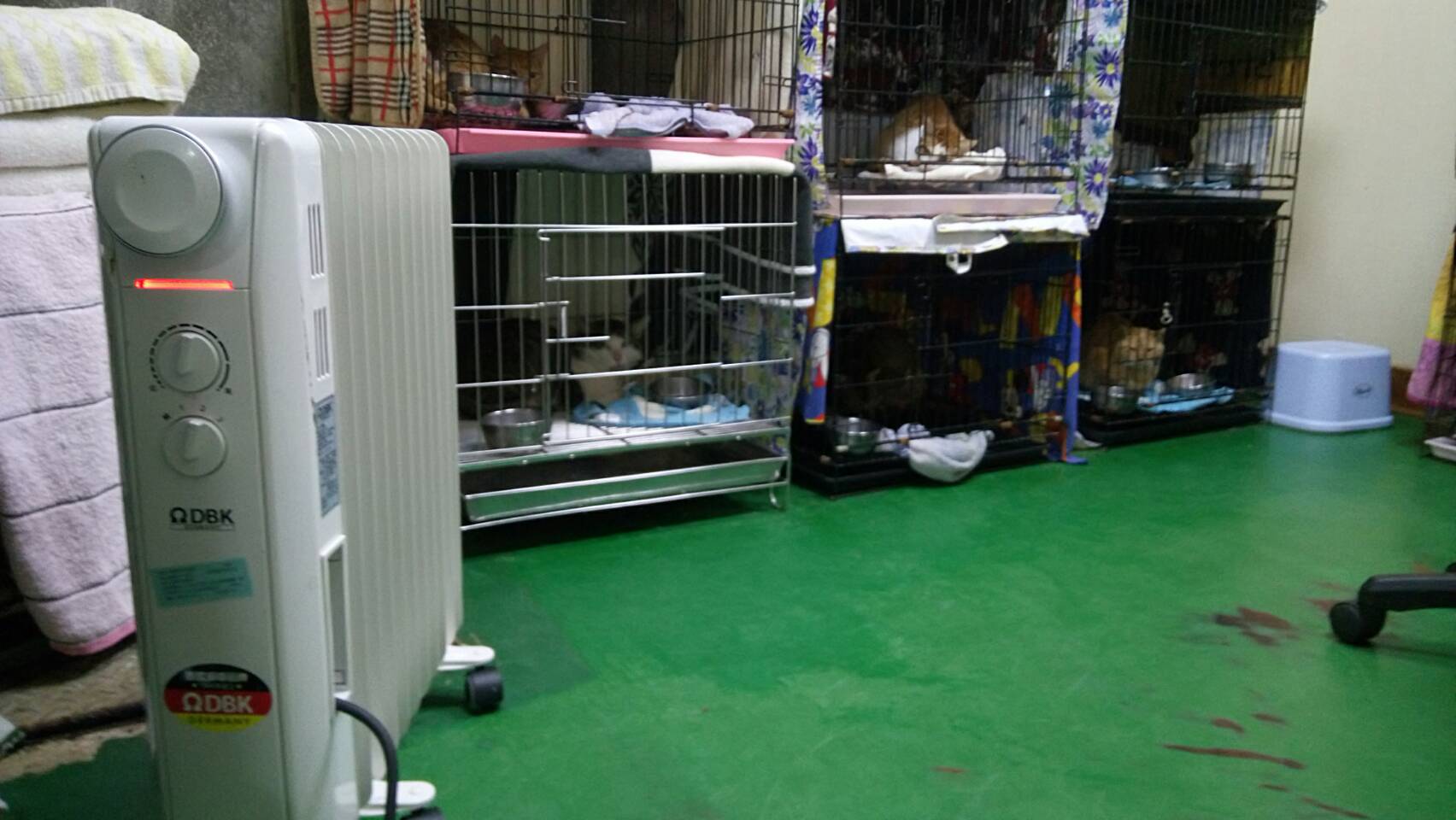 A heater warming the cats and dogs at the animal shelter