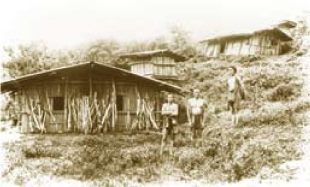 Arilaw Tribe in Japan-ruled period