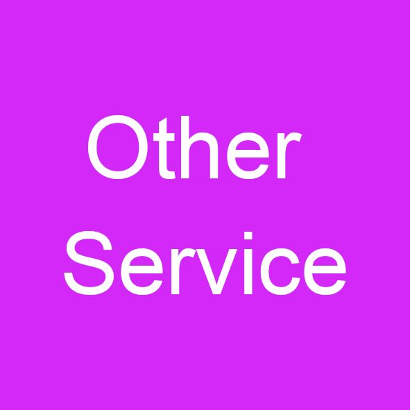 Other Service