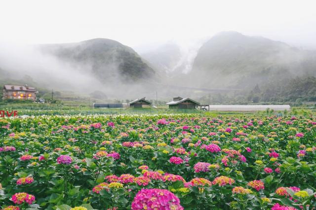 氣象景觀