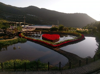 心型池塘