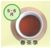 春茶季