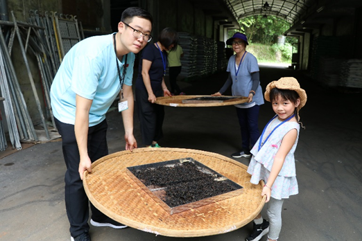 製茶體驗活動