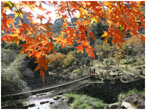 福田園教育休閒農場