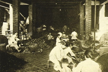 In earlier times, tea processing required a lot of elbow grease.