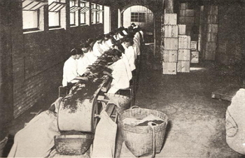 Selecting tea using a spinning machine.