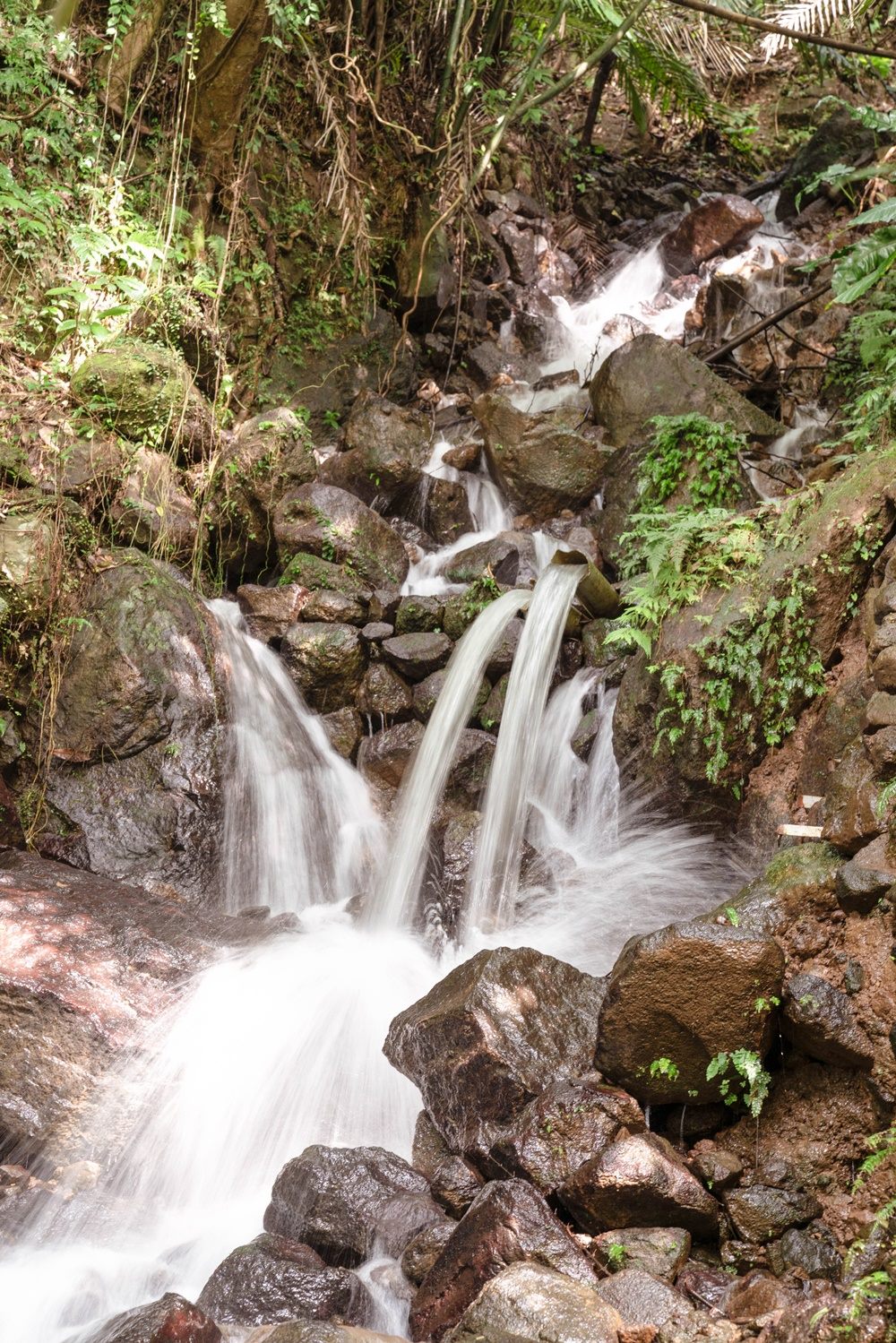 溪山社區是台北市少數還保有農村景象的社區，走在社區一處森林步道，盡頭是一個迷人的小瀑布