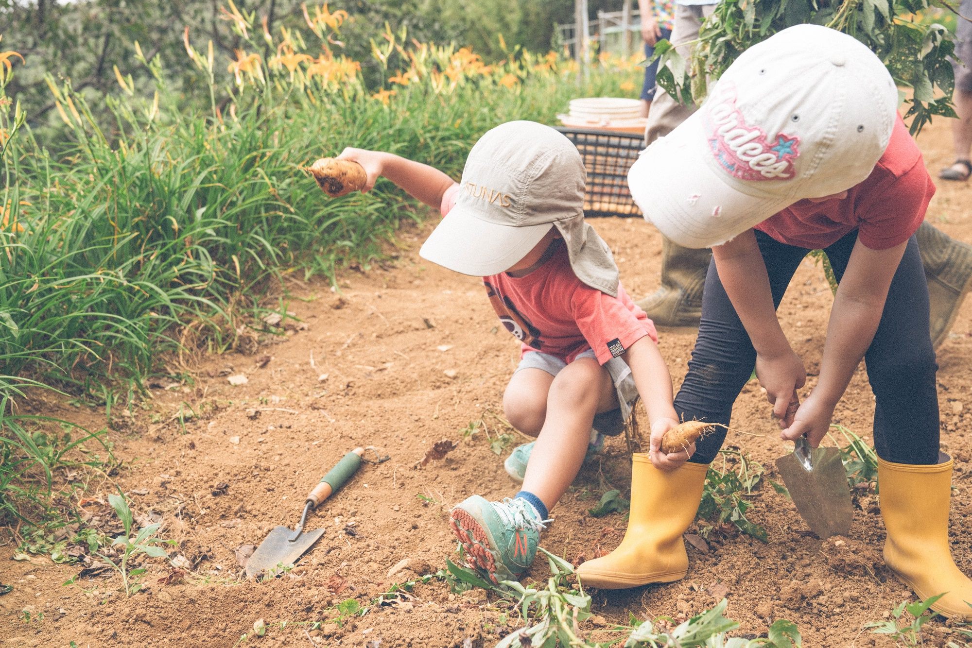 來到這裡的小朋友可以盡情的玩泥土、挖地瓜，享受田園樂趣。