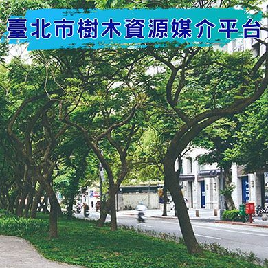 臺北市樹木資源媒介平台