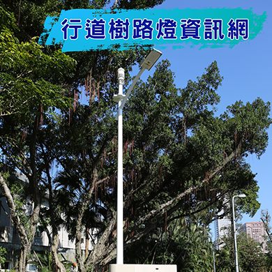 臺北行道樹路燈查詢系統