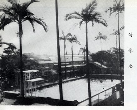 臺灣省立臺北工業專科學校之游泳池(1958年)