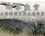 「蜥事龜寶」臺灣蜥蜴和淡水龜特展活動