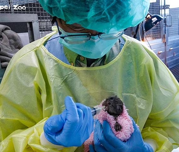 動物園重視檢疫～防堵未知傳染病