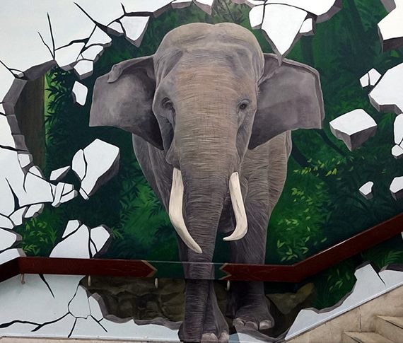 亞洲象「林旺」與「馬蘭」〜重現動物園象特展！