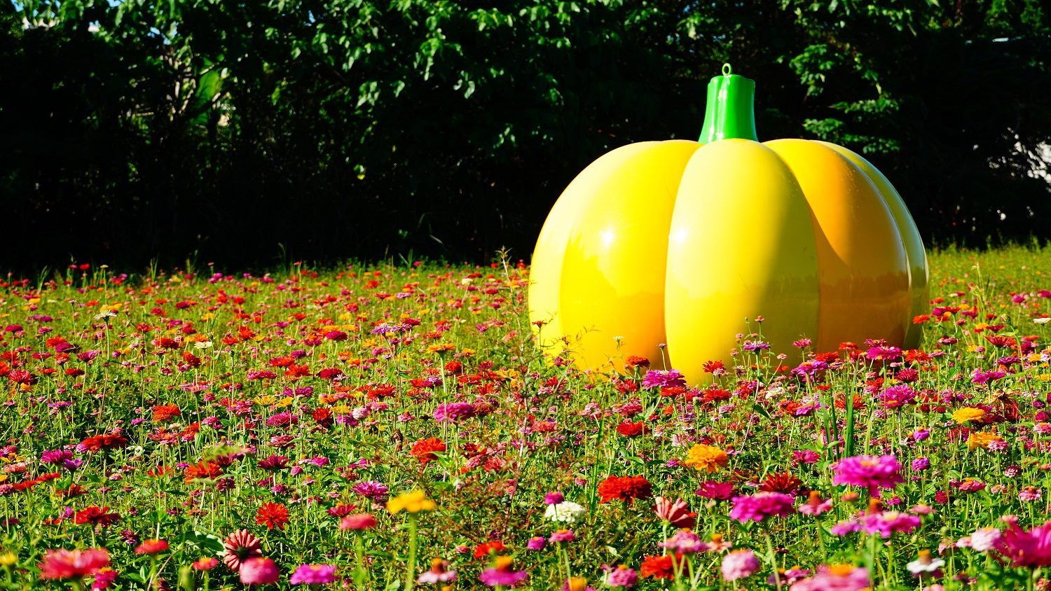 2021 Guandu Hidden Paradise of Flowers: Giant Pumpkins, Haystacks, and More