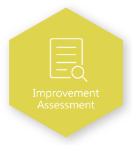 Improvement Assessment