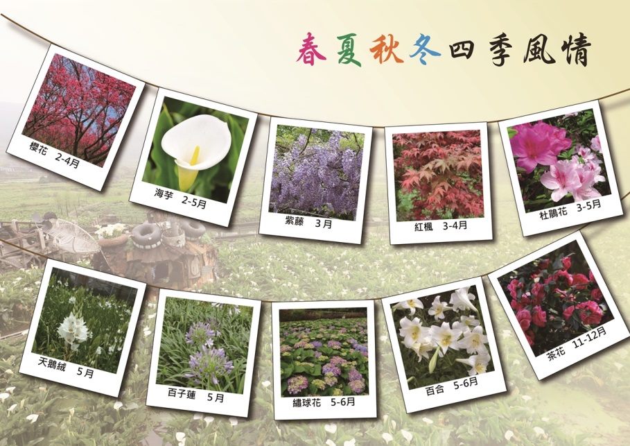 本區花卉作物產季一覽表